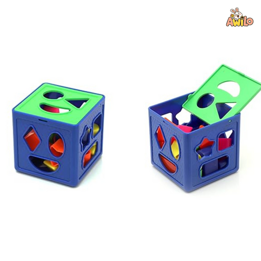 Shape Sorting Cube – Geometric Learning Toy (Multicolor) - Awilo